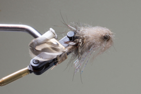 natural round goby pattern